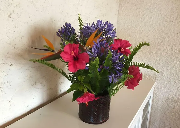 Populo Attic Πόντα Ντελγκάντα