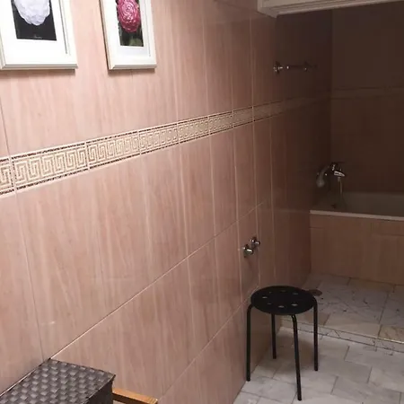 Populo Attic 蓬塔德尔加达